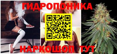 spice Балашиха
